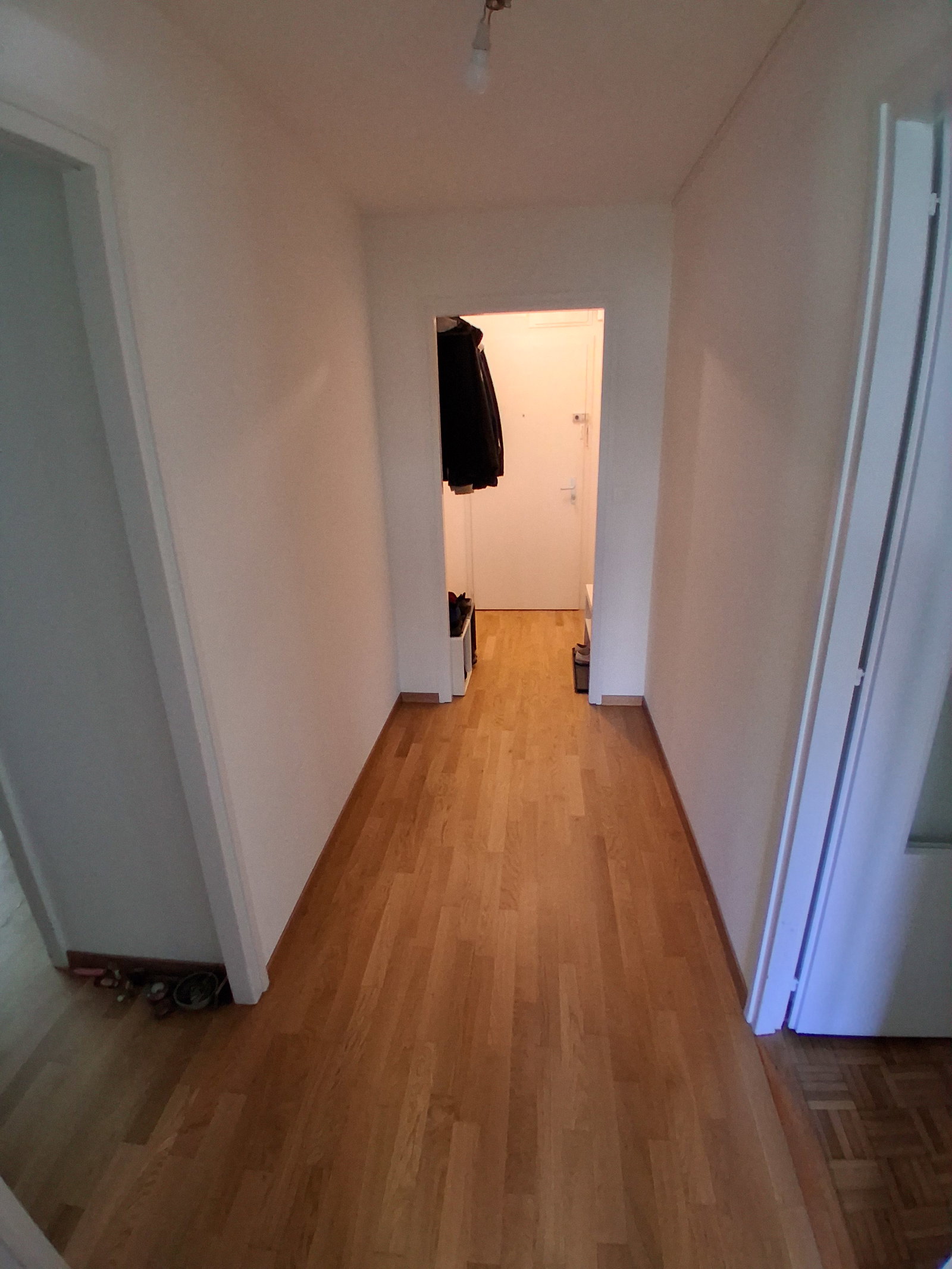 Coliving Lausanne 667621
