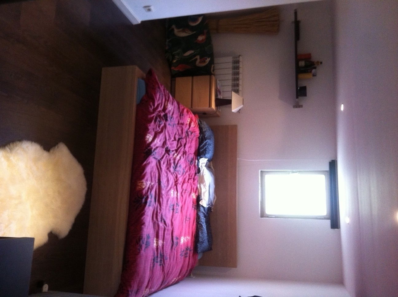 Tutta La Casa Feyzin 130400