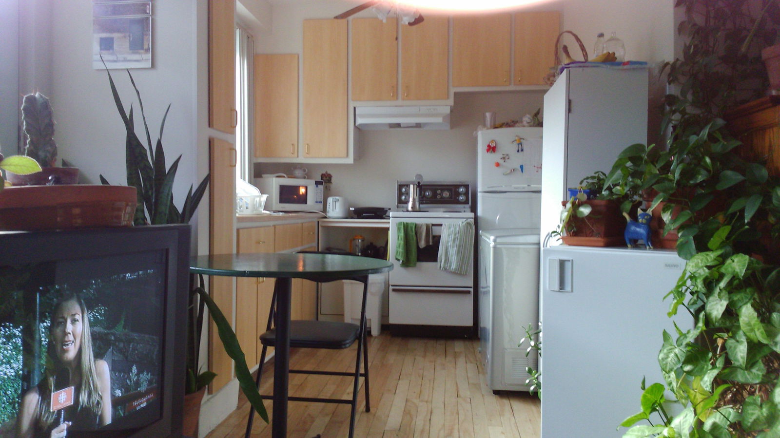 Collocazione Québec City 119323