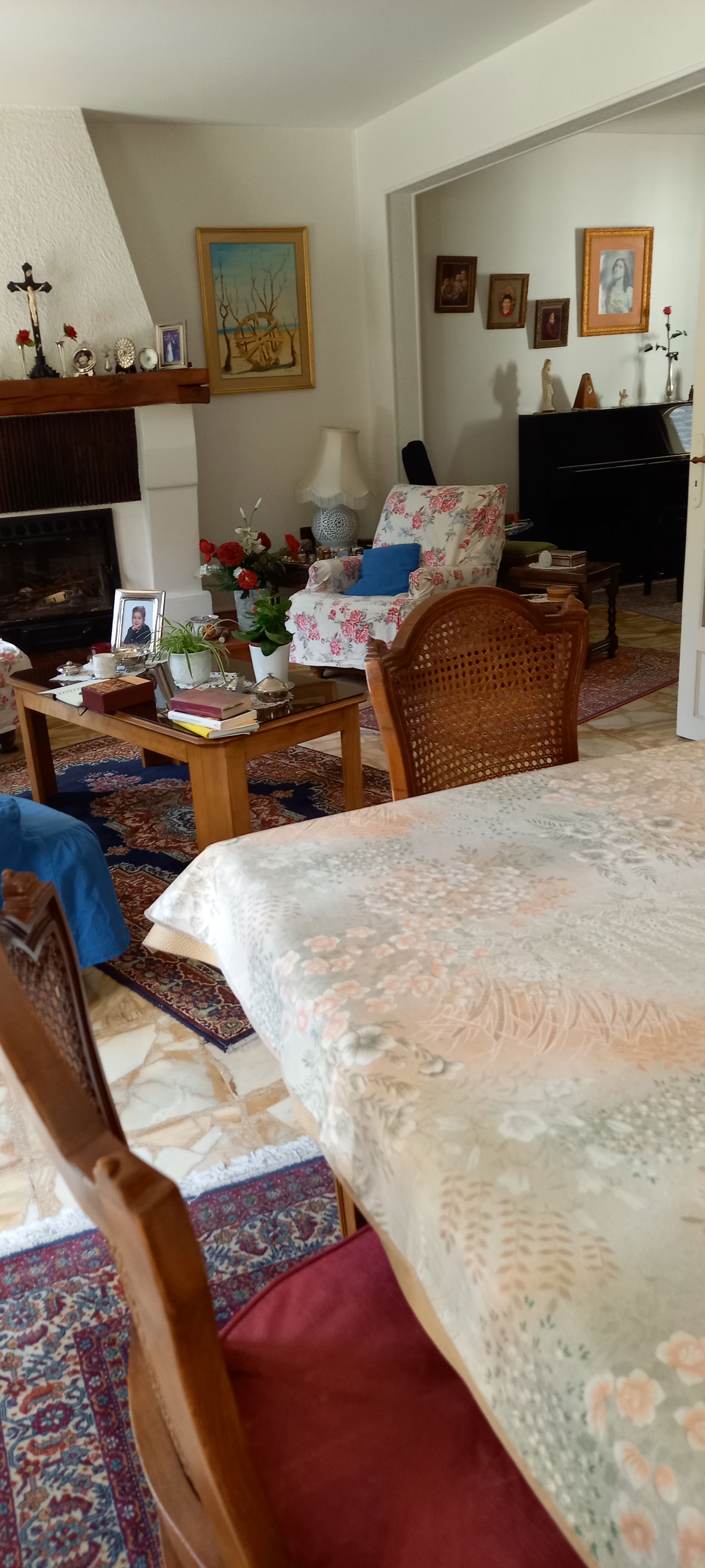 Famiglia Saint-Jean-de-Braye 295589