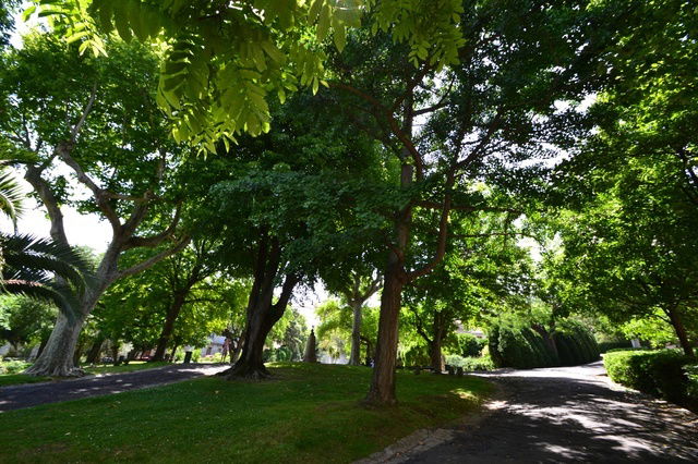 Camere Per Gli Ospiti Sète 41541