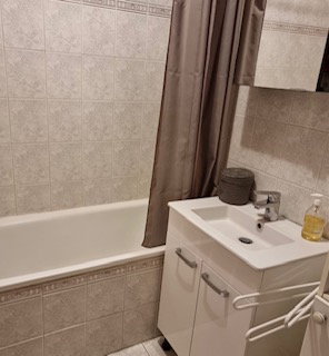 Famiglia Lyon 338292