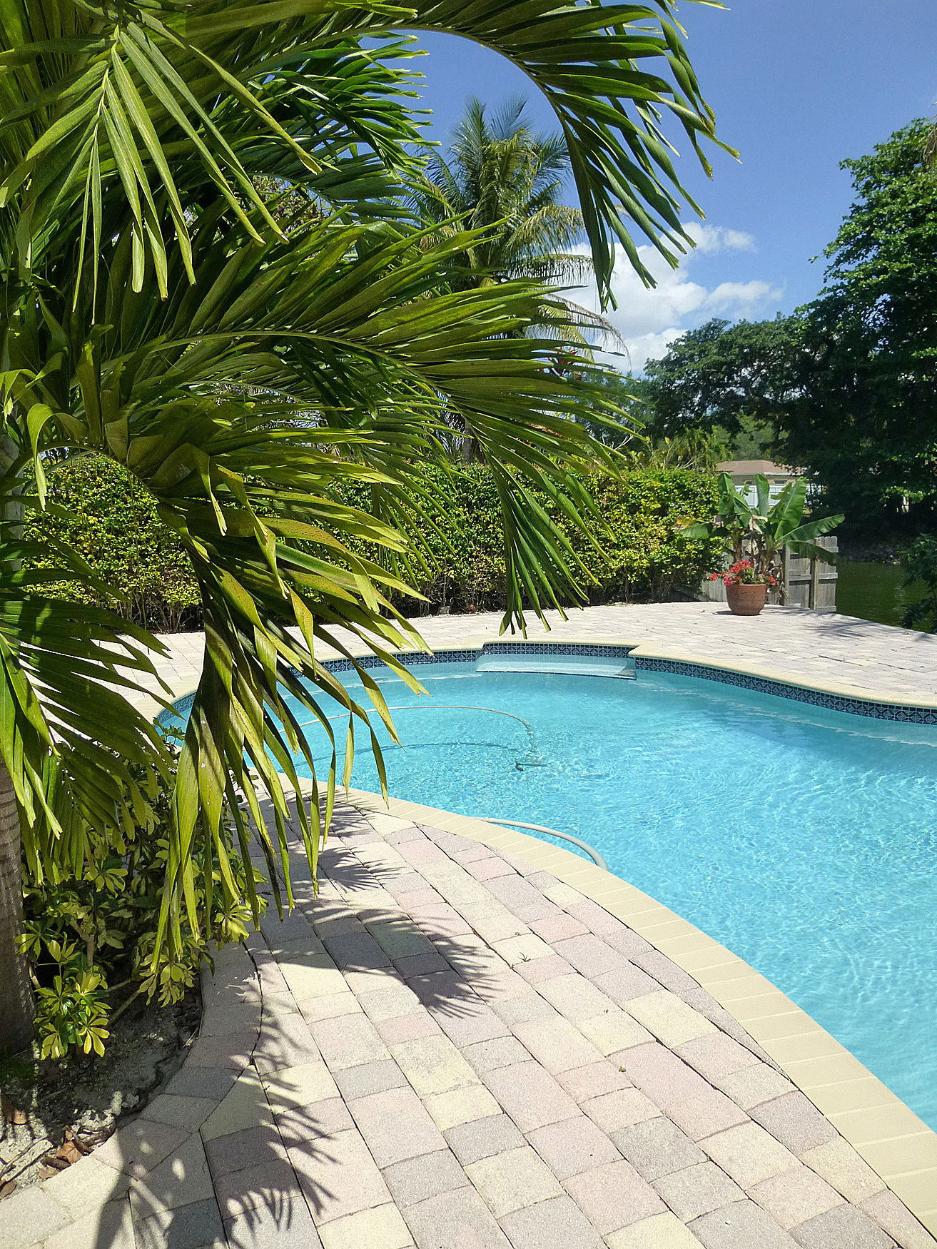 Famiglia Miami 90962