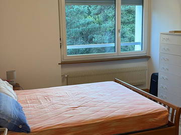 Chambre chez l'habitant à louer à Dietikon - photo 4 : chambre-4