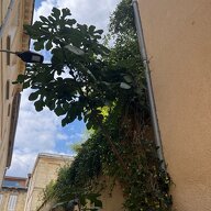 Collocazione Bordeaux 663823