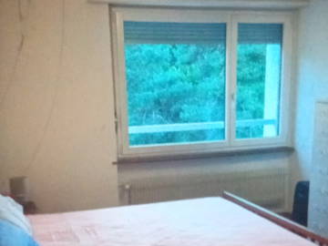 Chambre chez l'habitant à louer à Dietikon - photo 1 : chambre-1