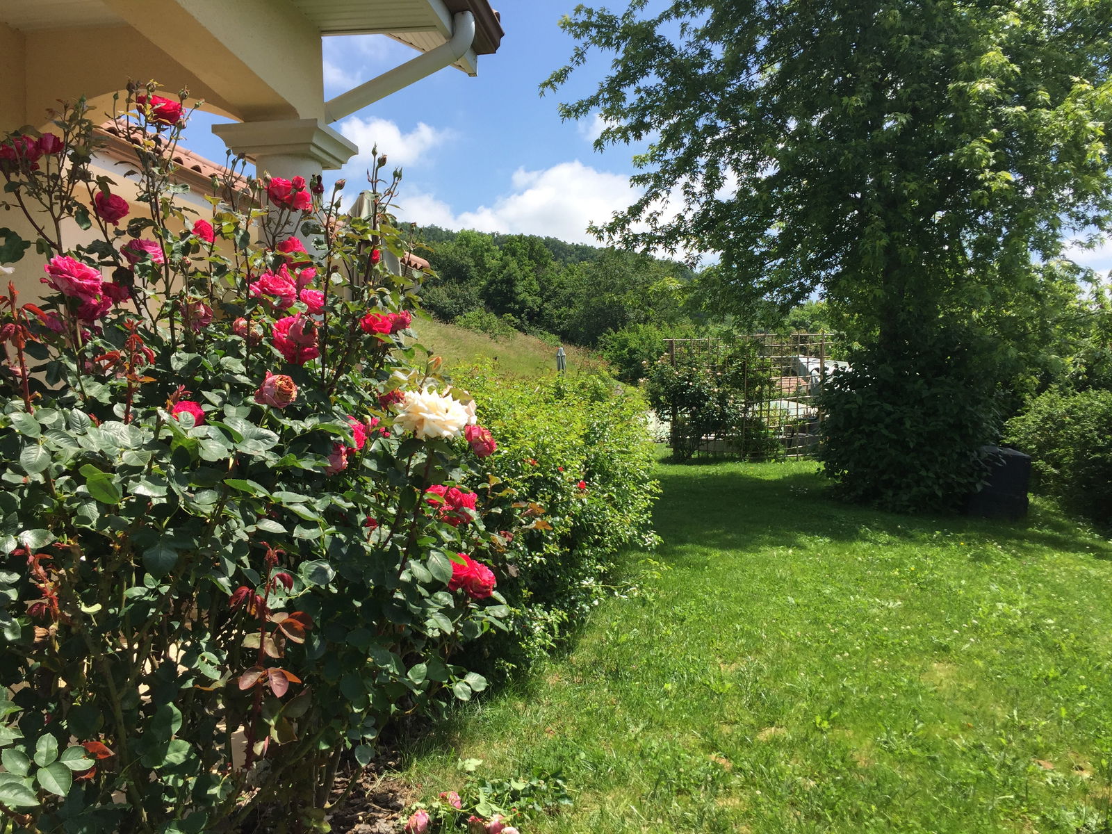 Coliving Panossas 233680