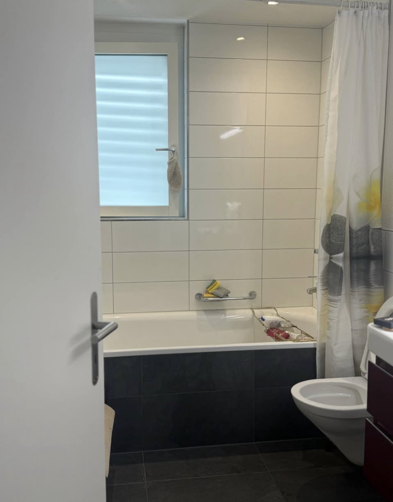 Coliving Interlaken 677636