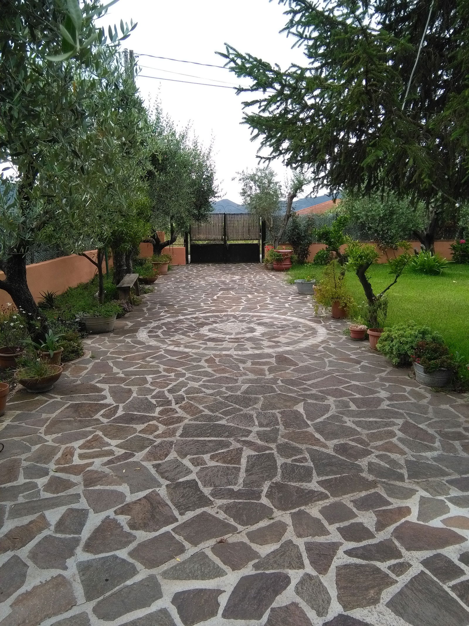 Collocazione Lazio 158773