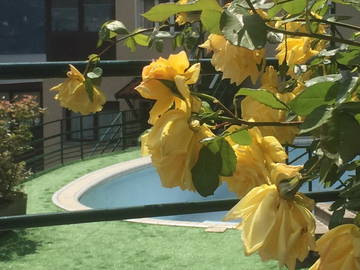 Chambre Chez L'habitant Laglio 208750-8