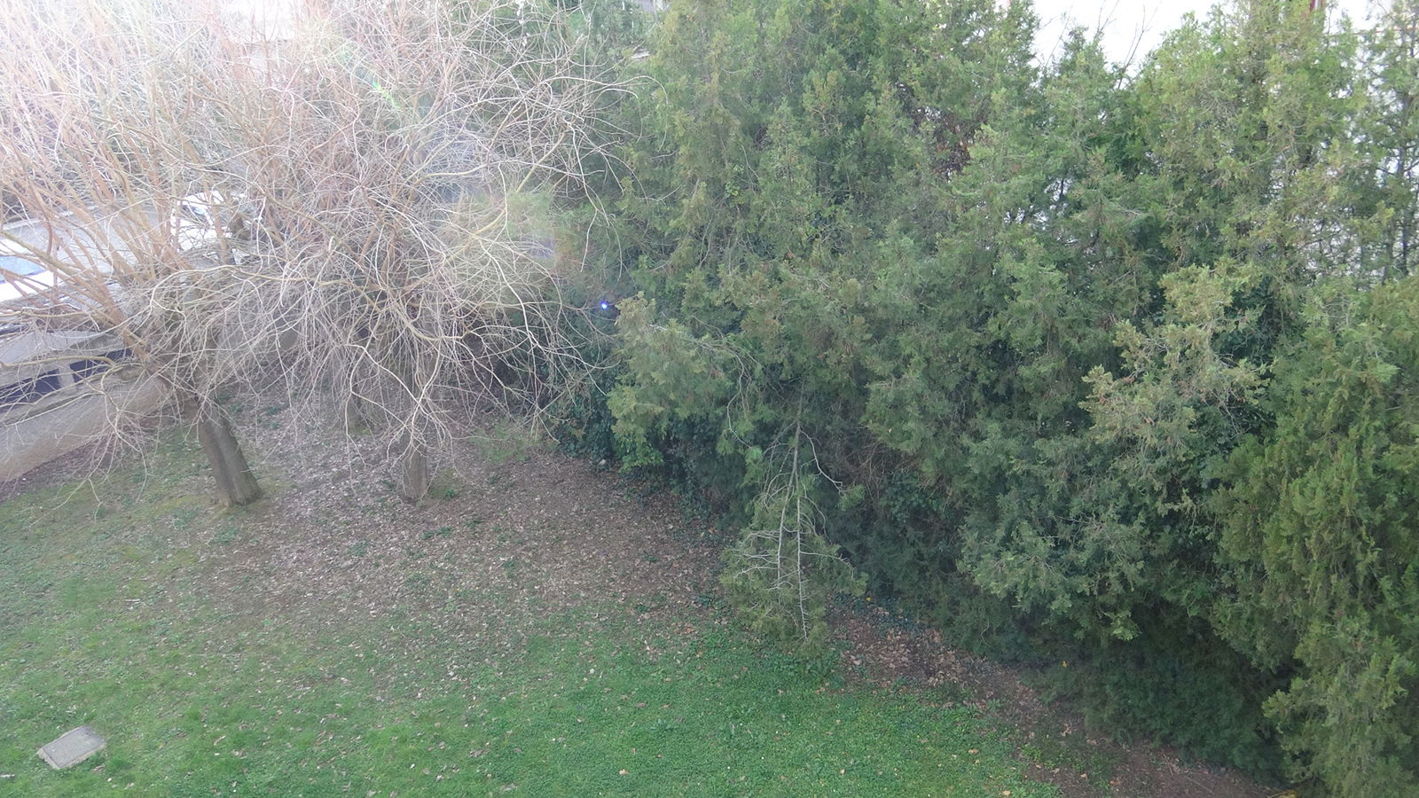 Collocazione Toulouse 496617