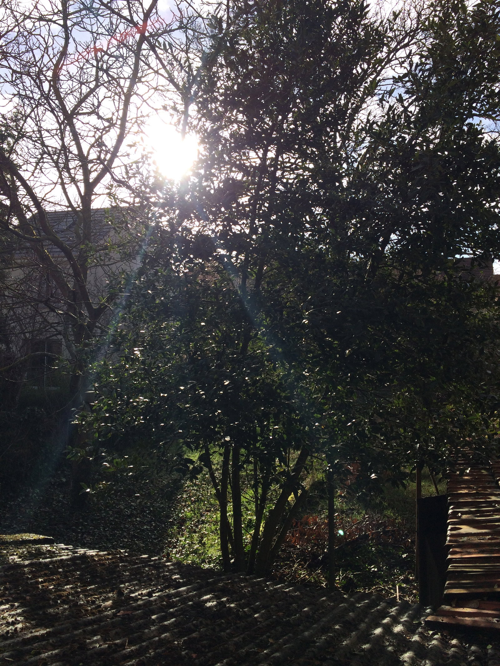 Collocazione Nanterre 255216