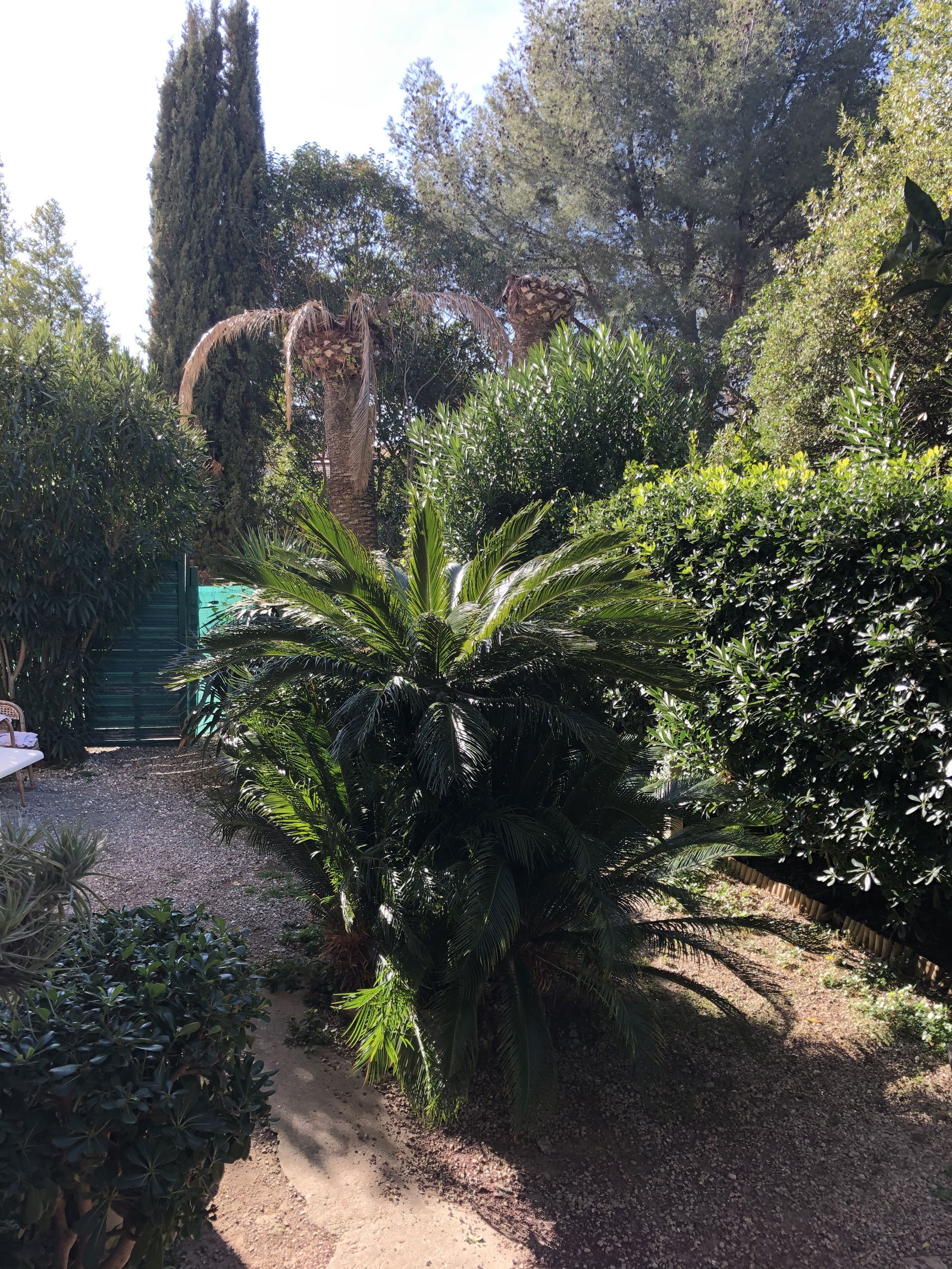 Famiglia Cannes 258174