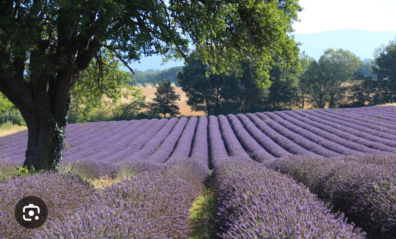 Camere Per Gli Ospiti Apt 594647