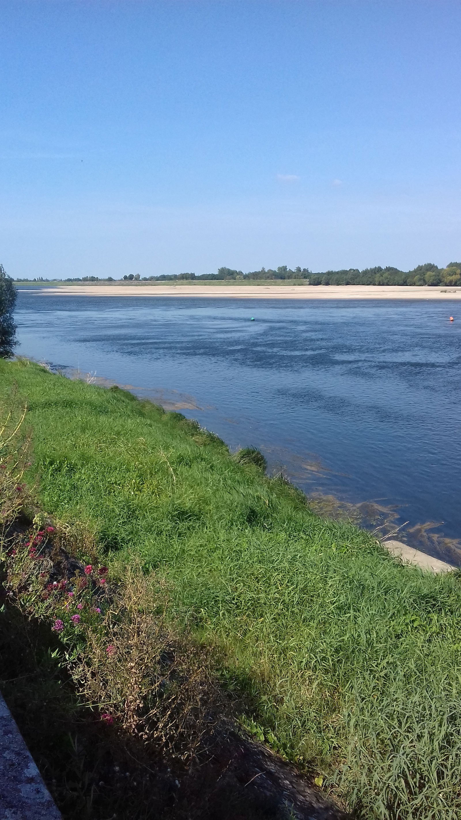 Famiglia La Riche 263019