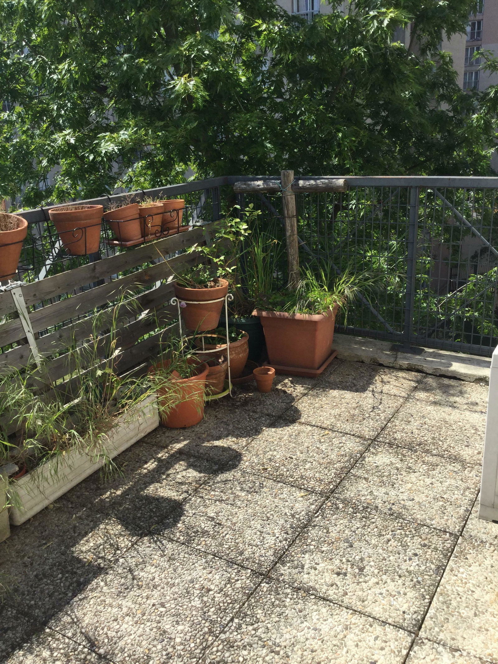 Camere Per Gli Ospiti Paris 4262