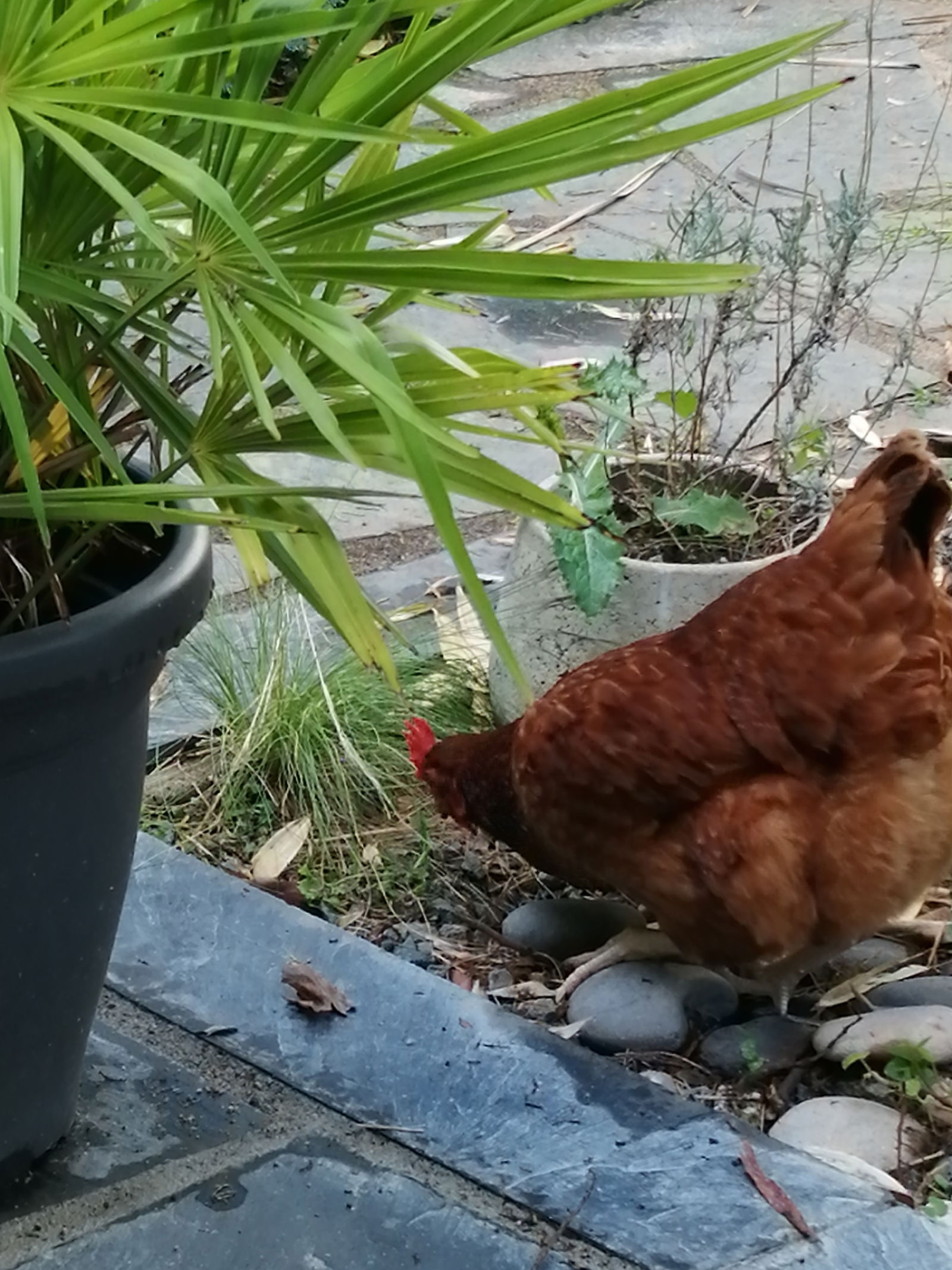 Tutta La Casa Puy-de-Serre 242477