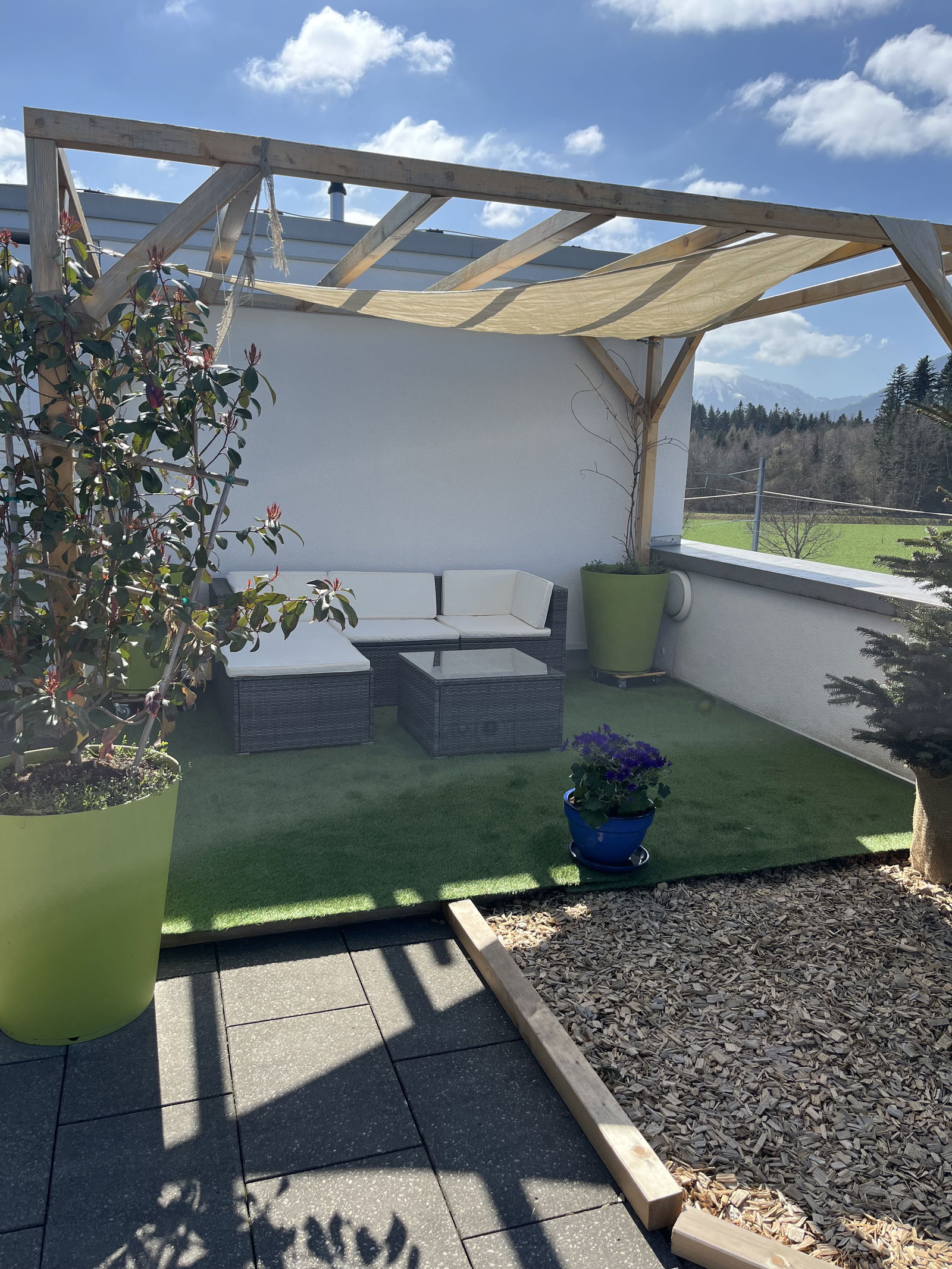 Famiglia Bulle 324548