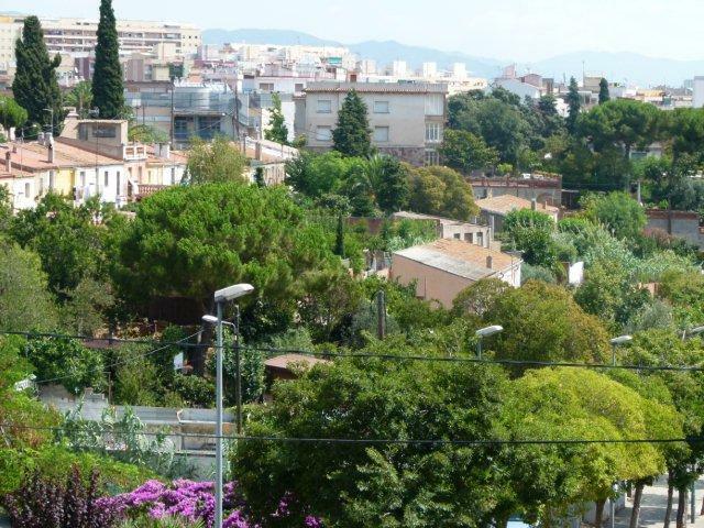 Collocazione Barcelona 91826