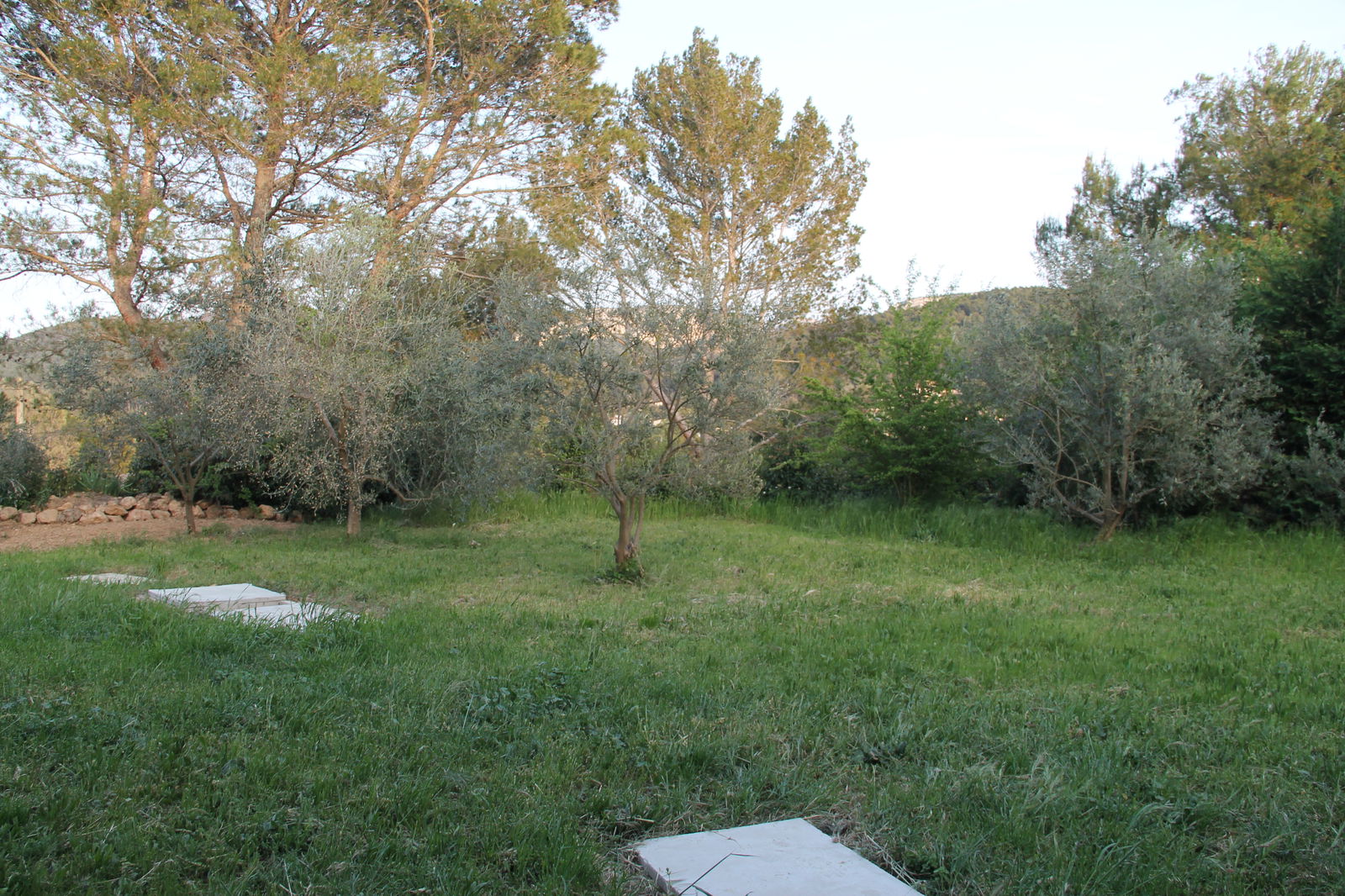 Tutta La Casa Auriol 221252