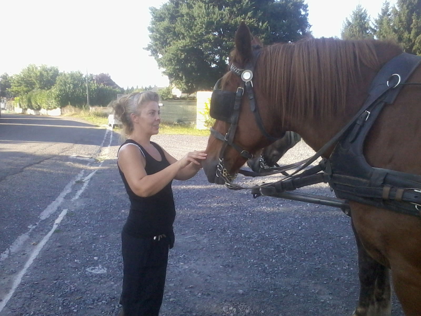 Famiglia Séméac 212768