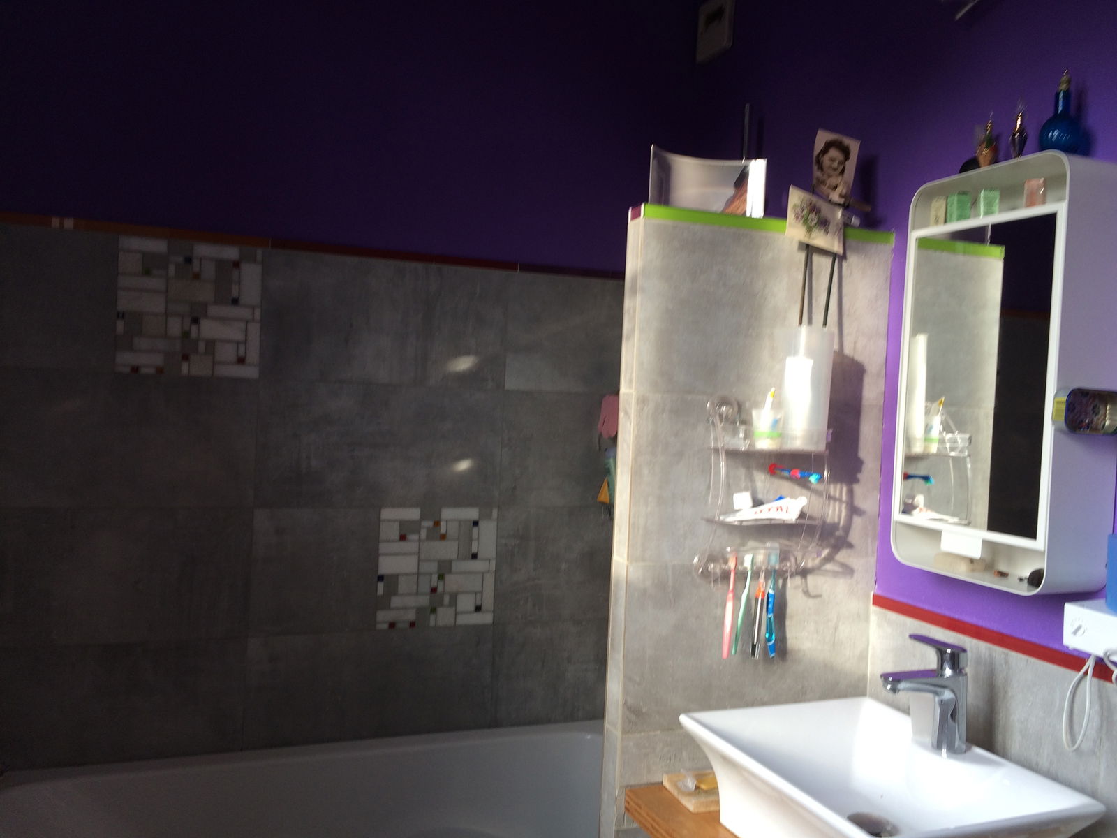 Famiglia Villeneuve-d'Ascq 434542