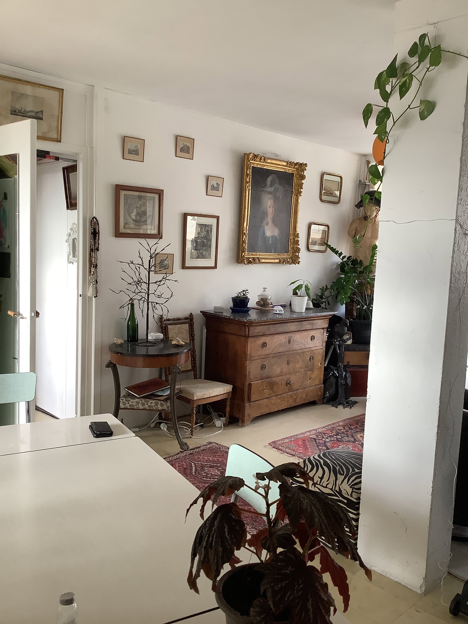 Famiglia Lyon 631340