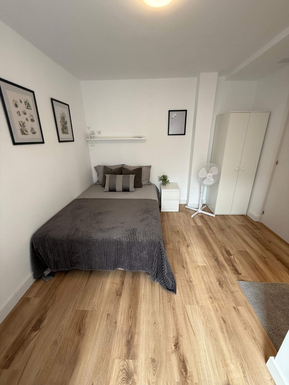 Collocazione Alacant 588531