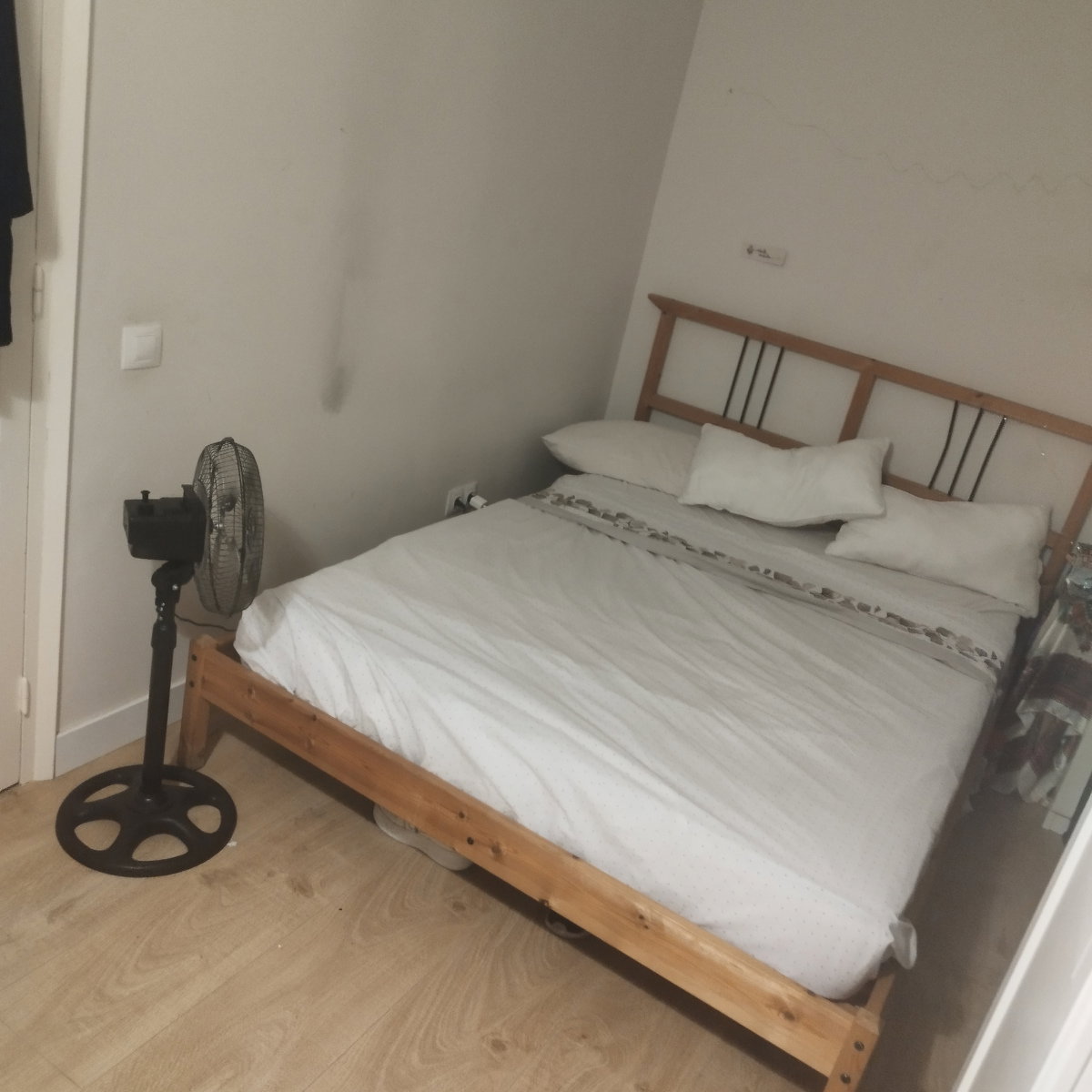 Famiglia Barcelona 661773