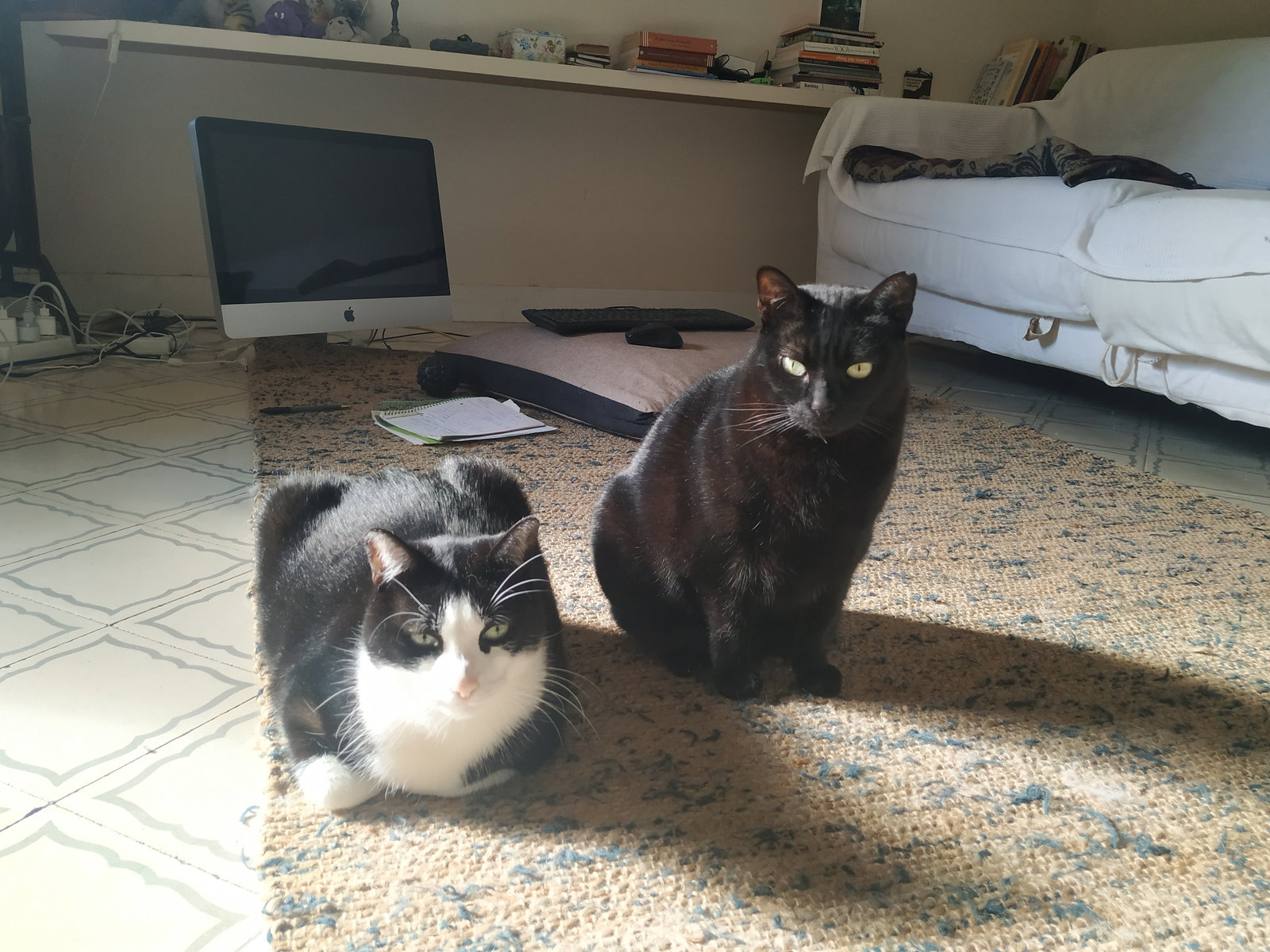 Famiglia Barcelona 661773