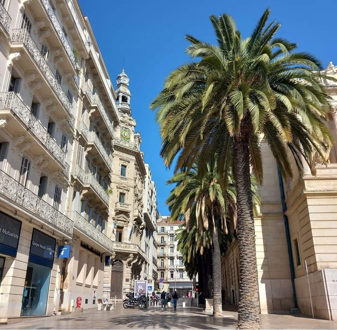 Famiglia Toulon 299624