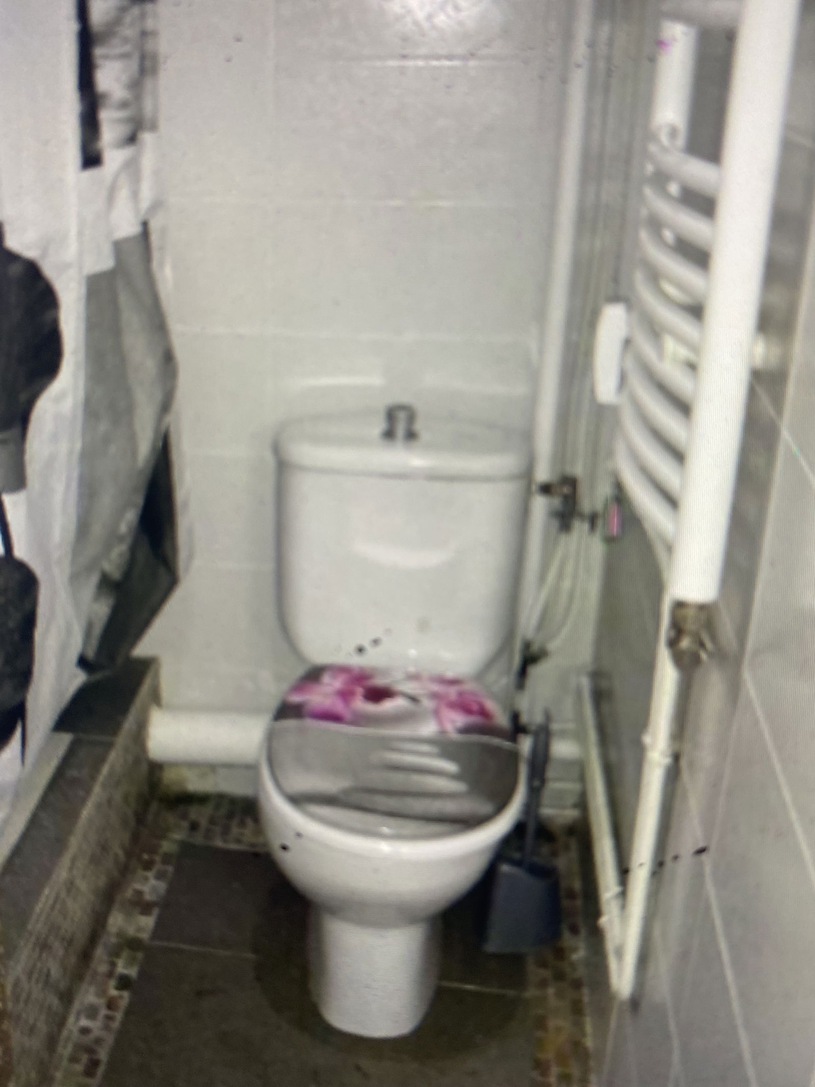 Famiglia Dijon 234664