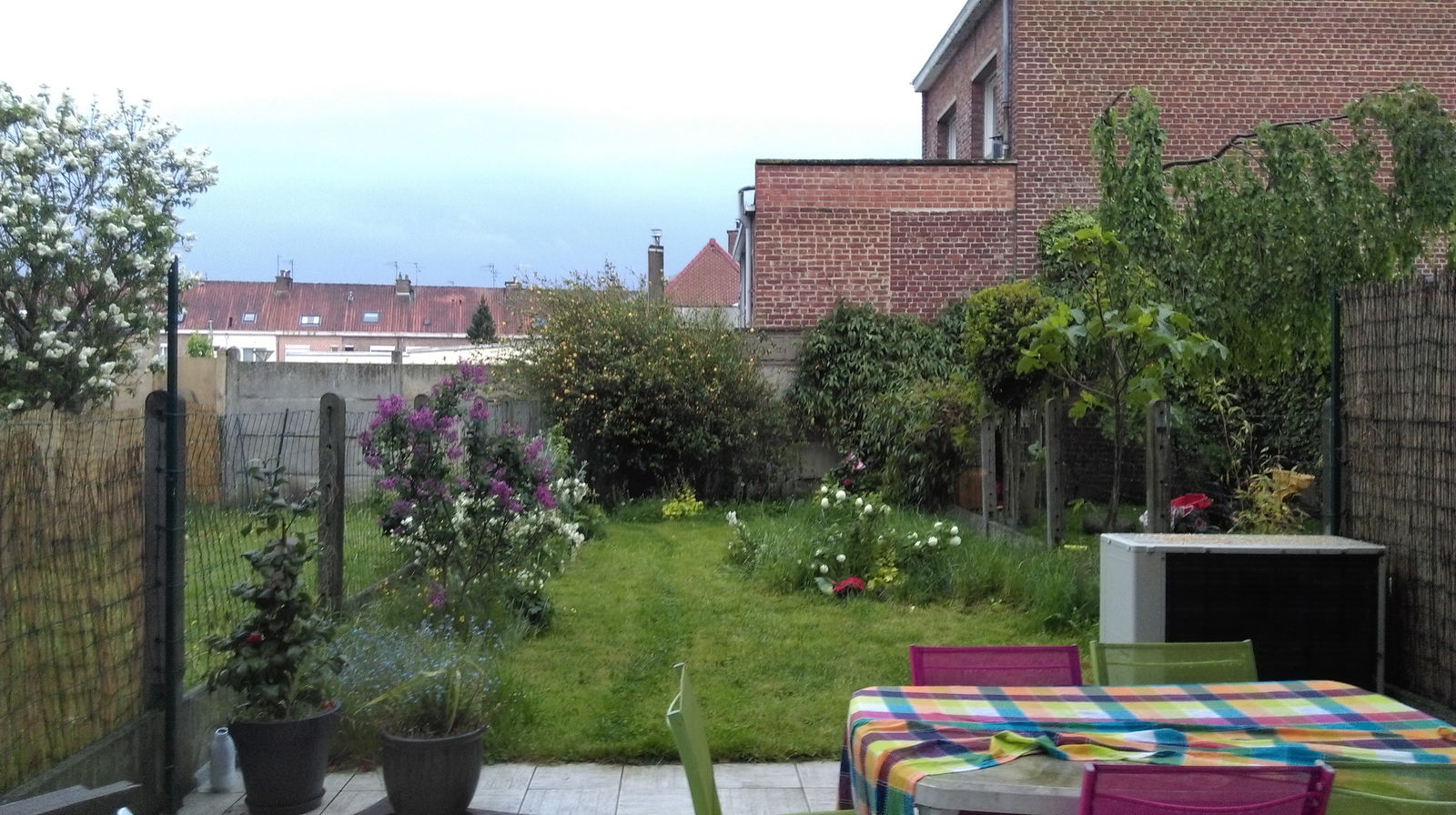 Collocazione Loos 138463