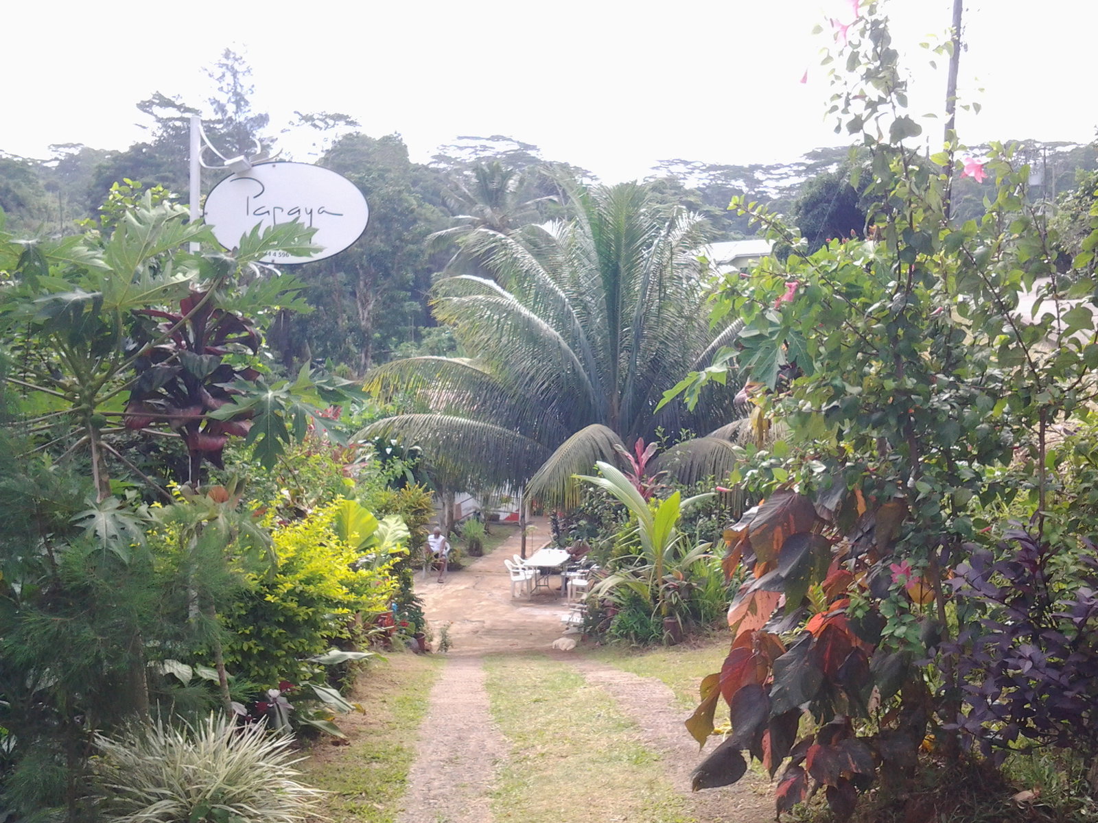 Famiglia Victoria 115860