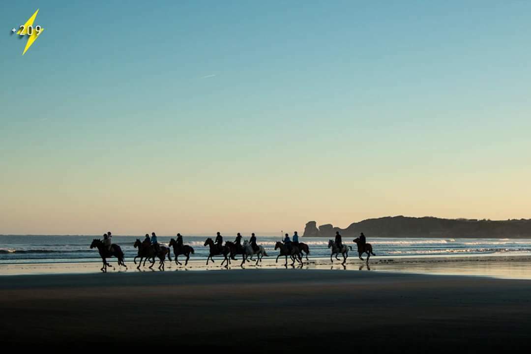 Famiglia Hendaye 180244