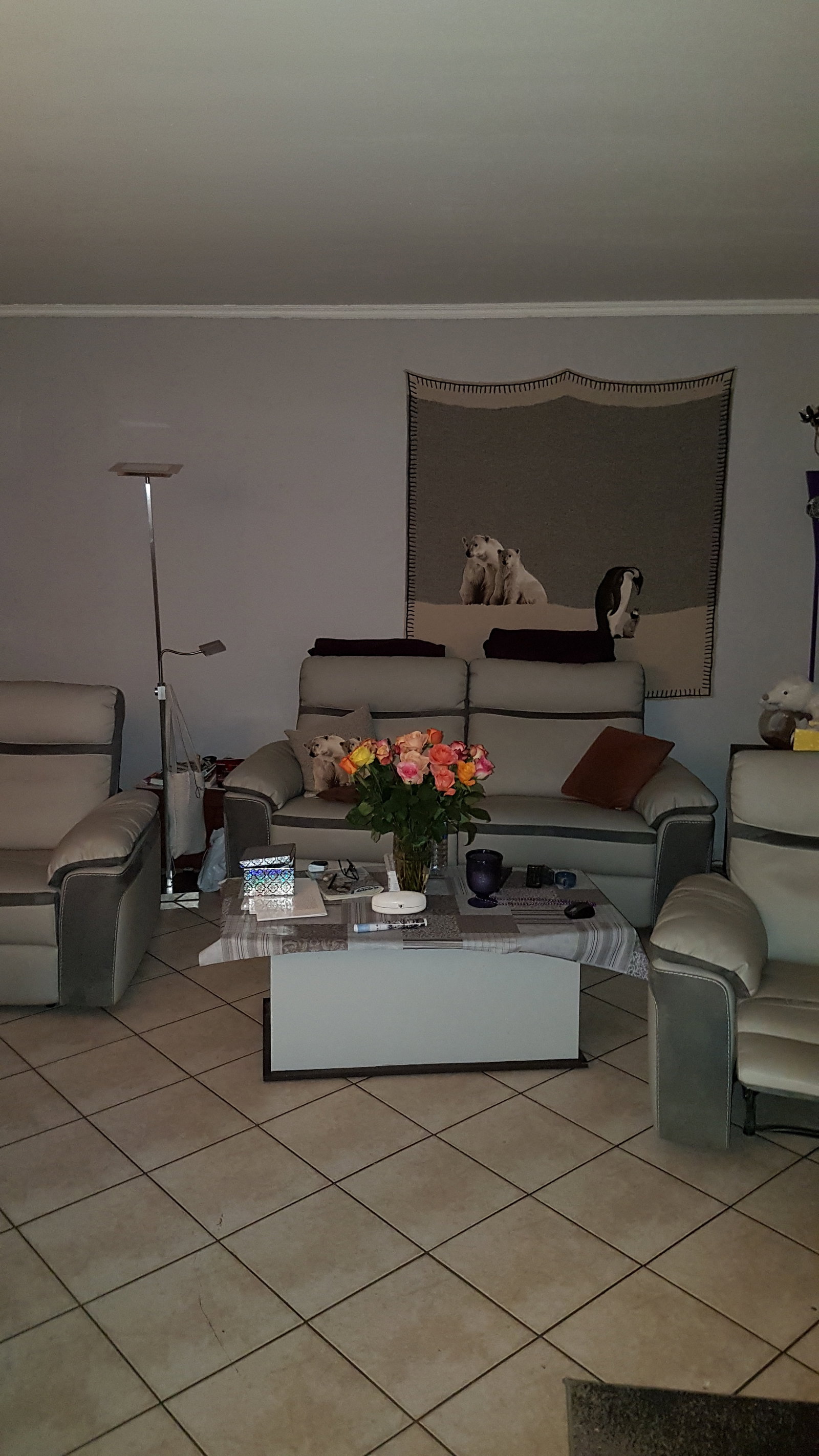 Collocazione Champigny-sur-Marne 221489