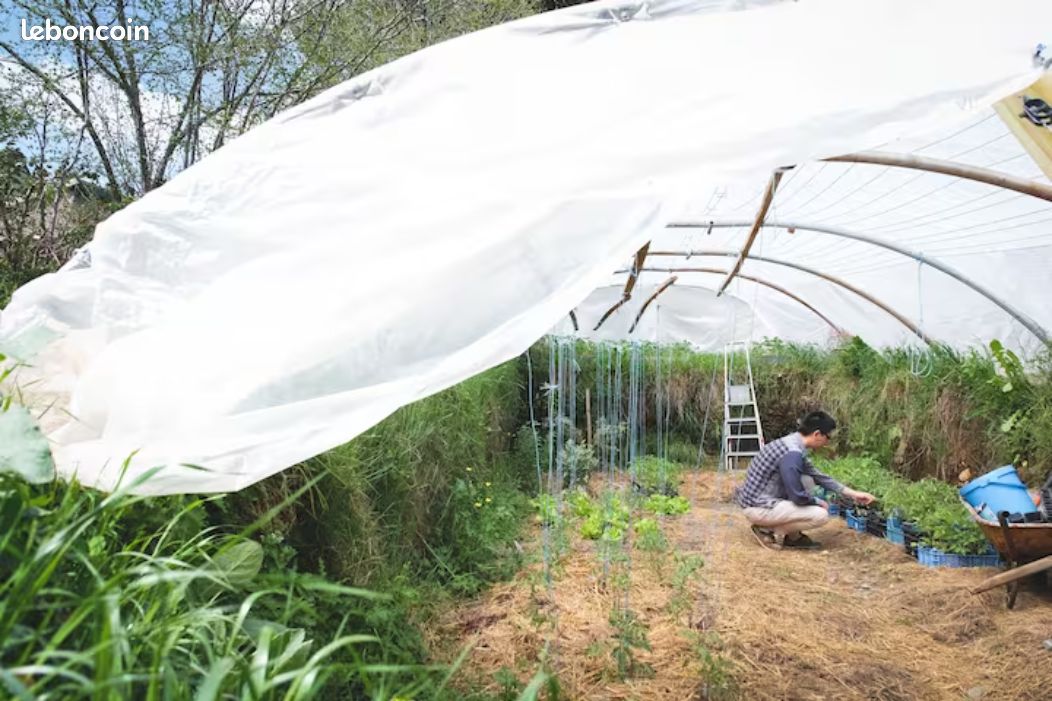 Famiglia Tauves 267082