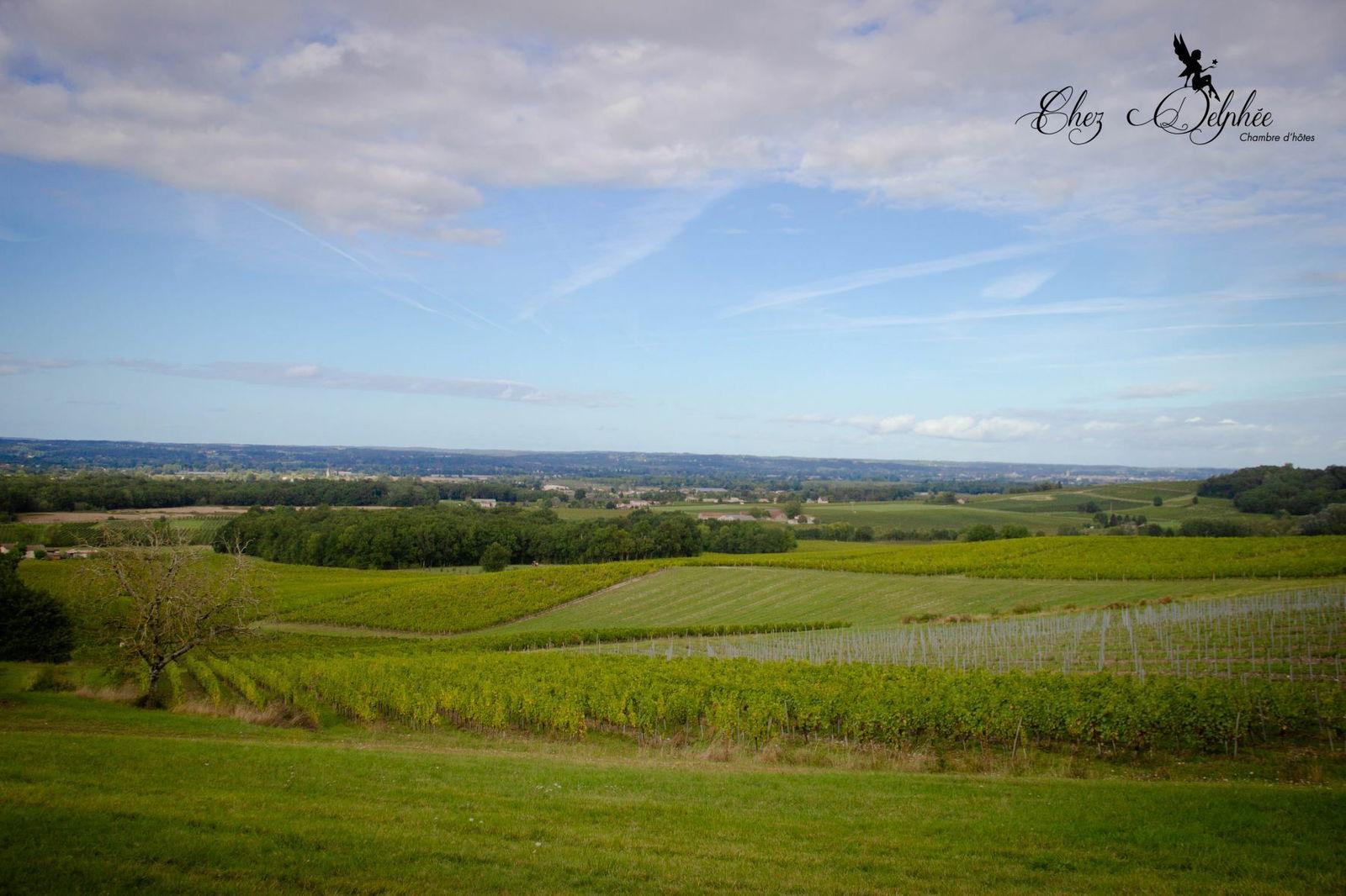 Famiglia Pomport 253287