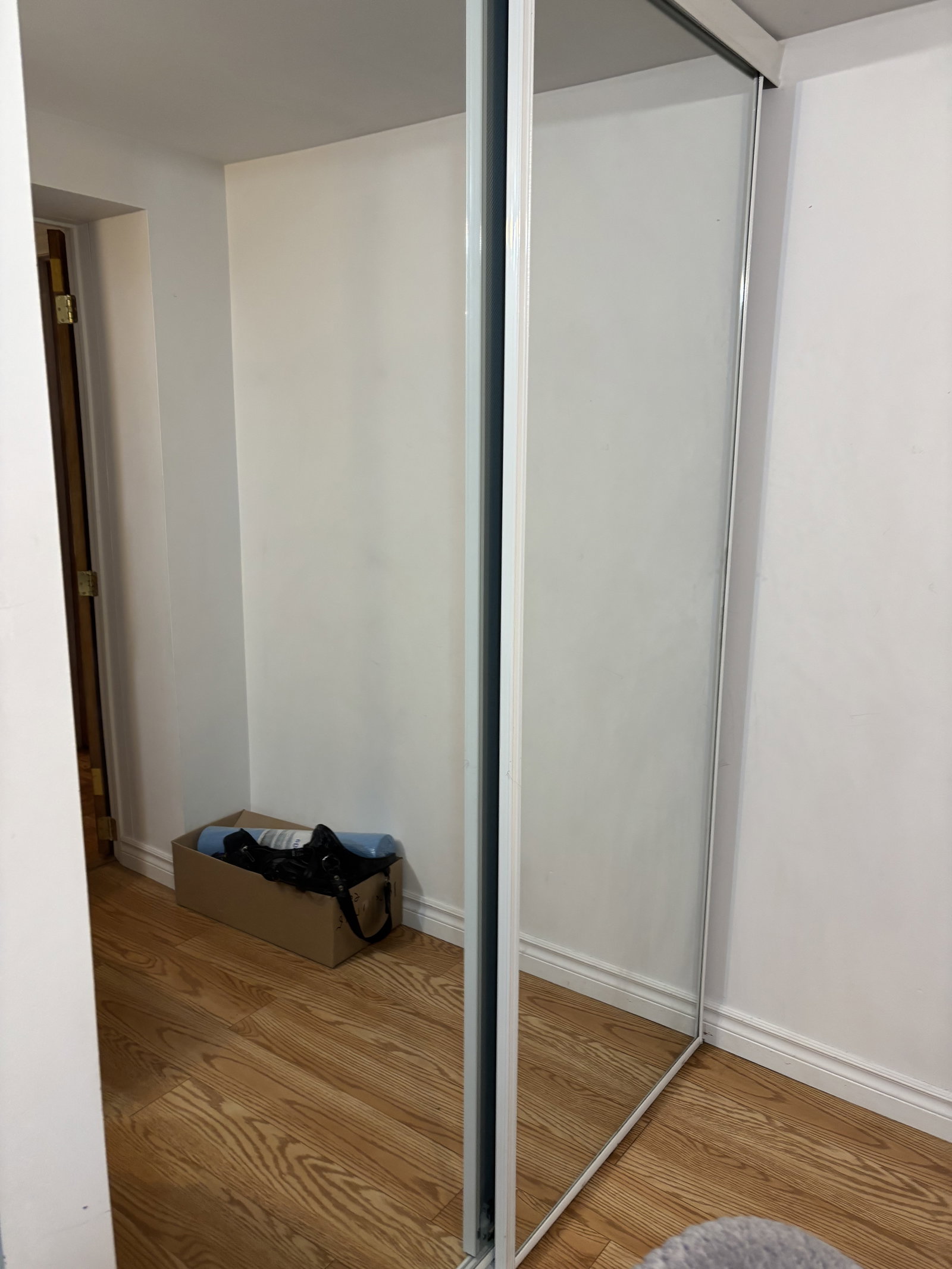 Coliving Montréal 662781