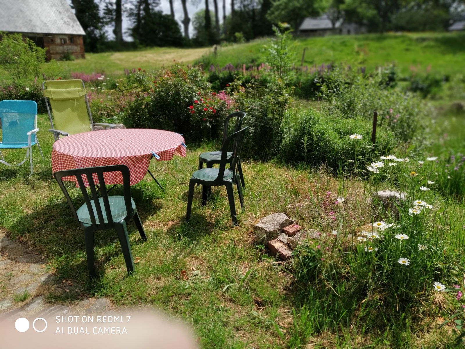 Famiglia Routes 246115