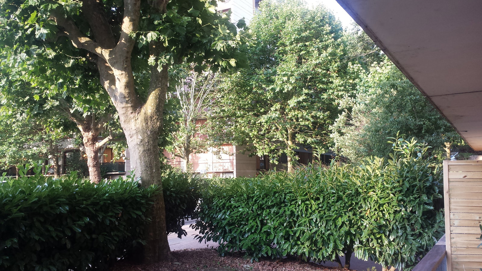 Famiglia Fontenay-le-Fleury 264998