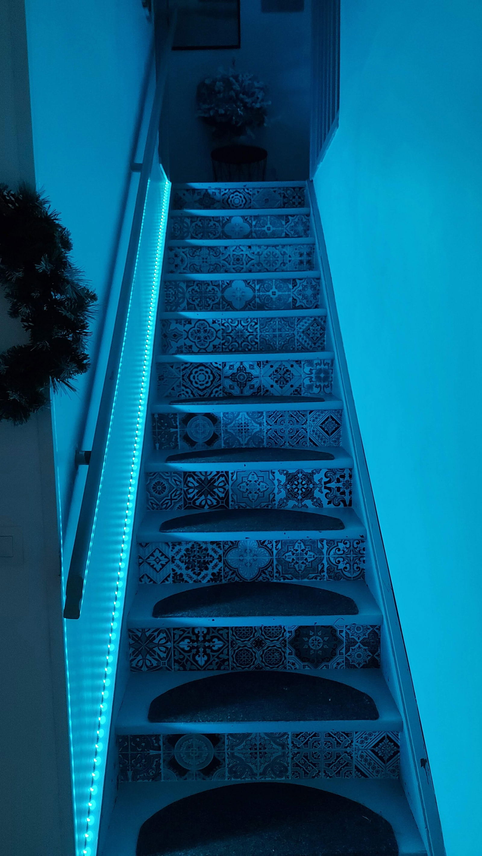 Famiglia Deauville 264116