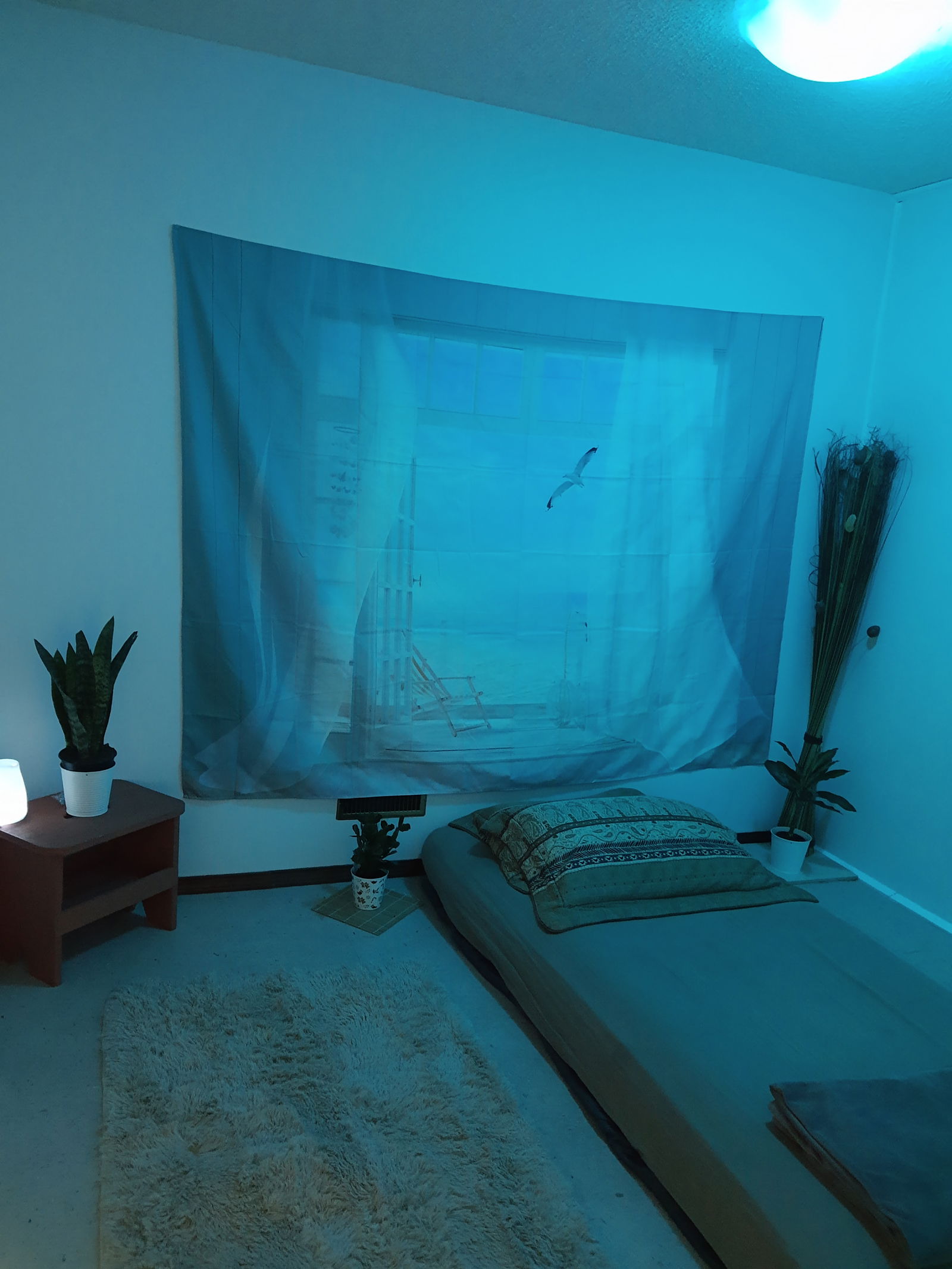 Famiglia Calgary 263864