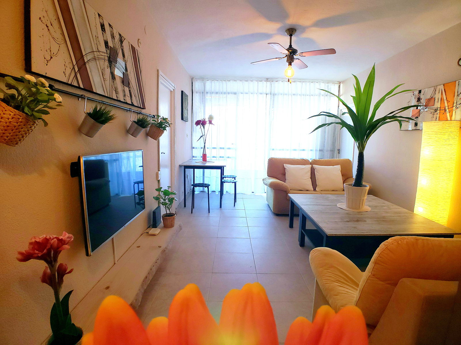 Collocazione Madrid 226590