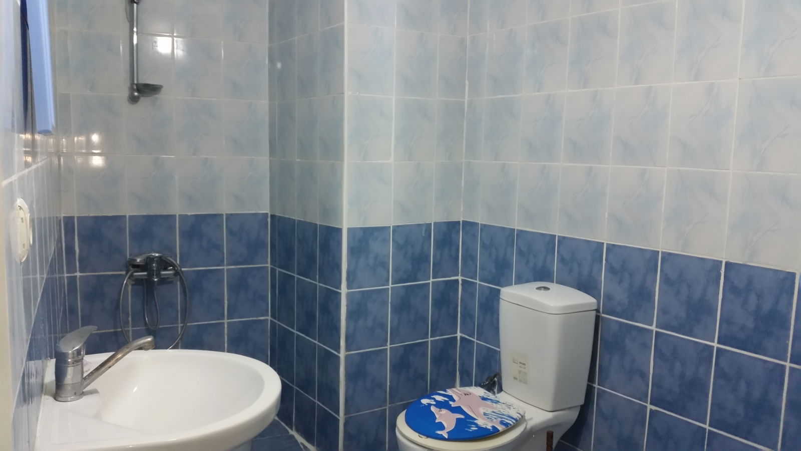 Famiglia Şişli 239029