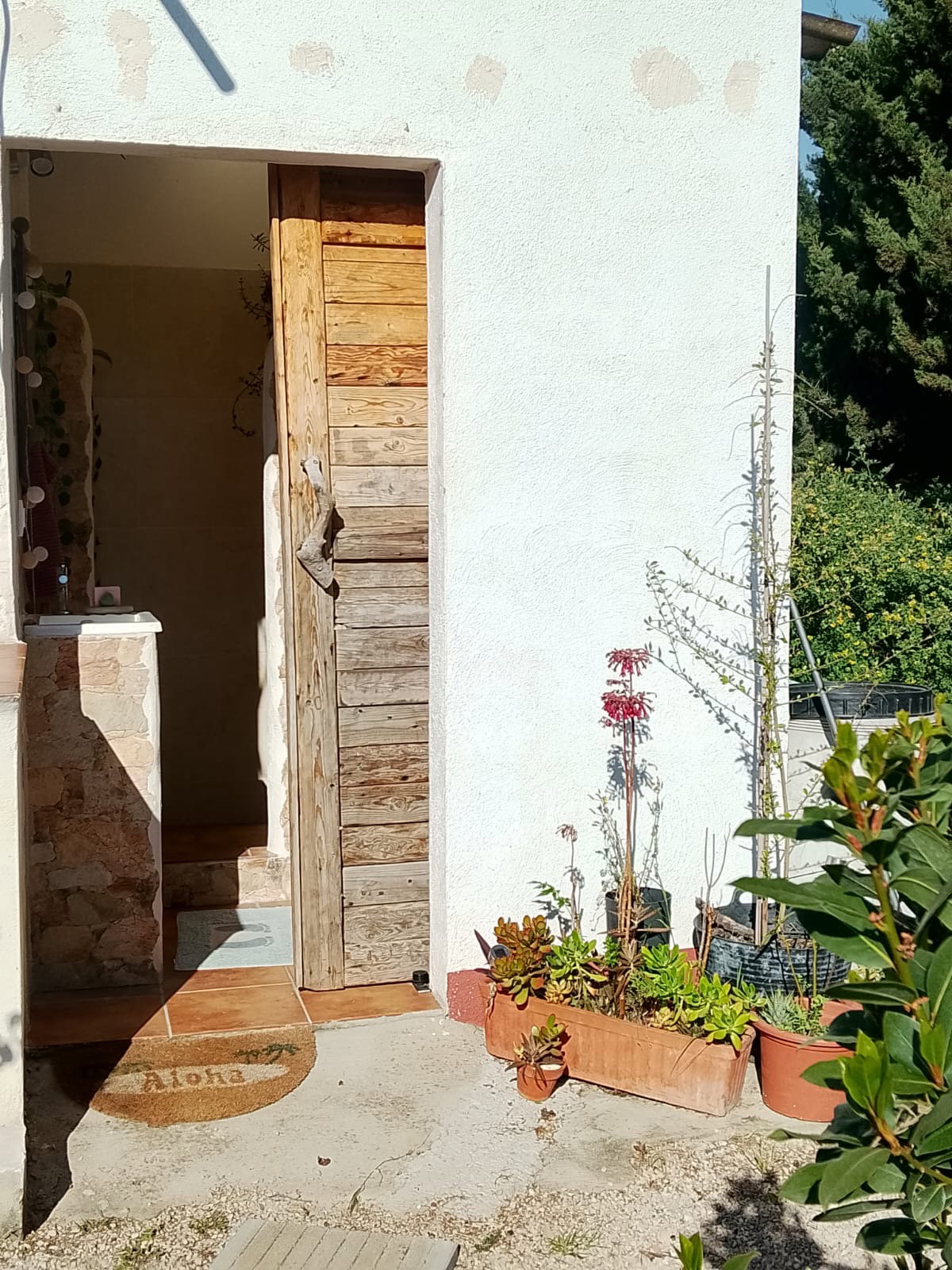 Famiglia Tortosa 662819