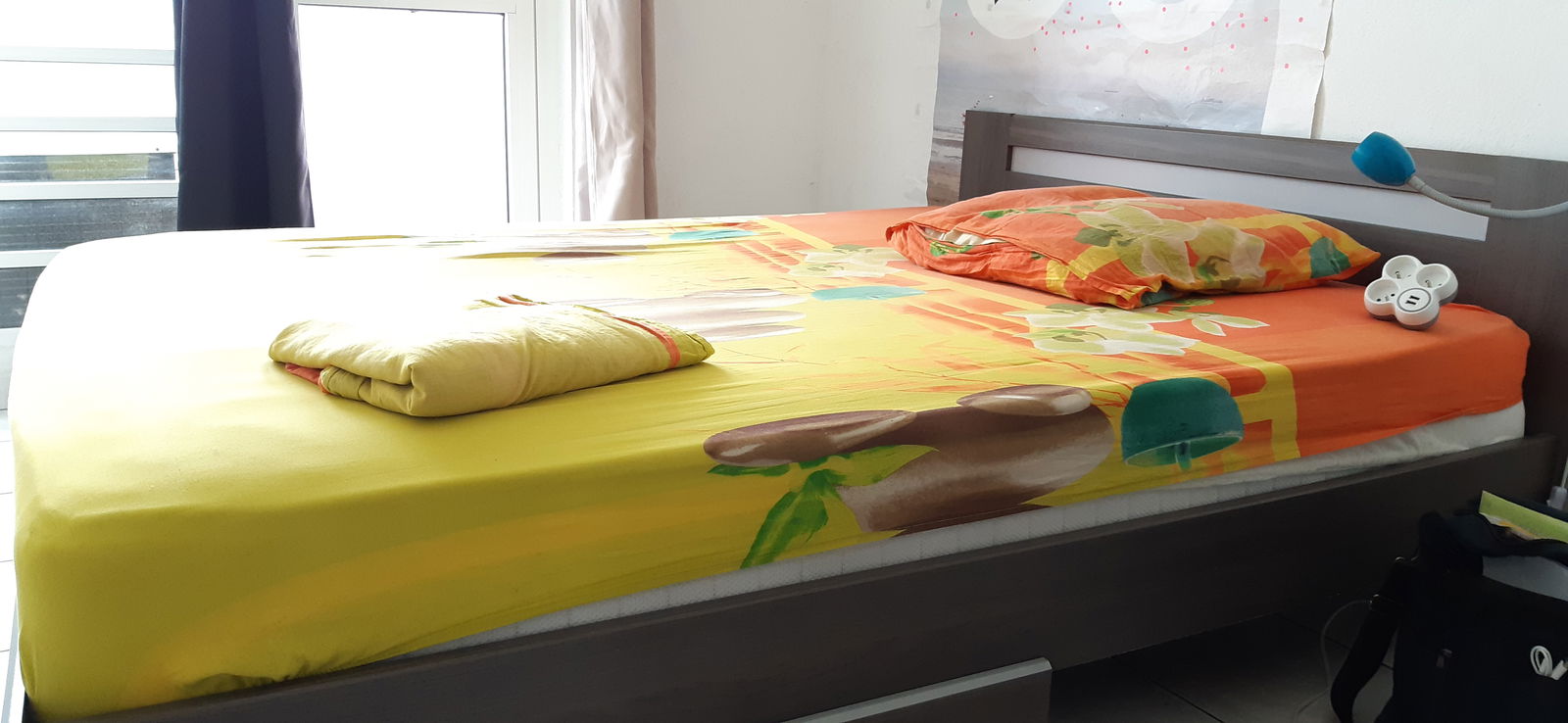 Collocazione Pointe-à-Pitre 205232