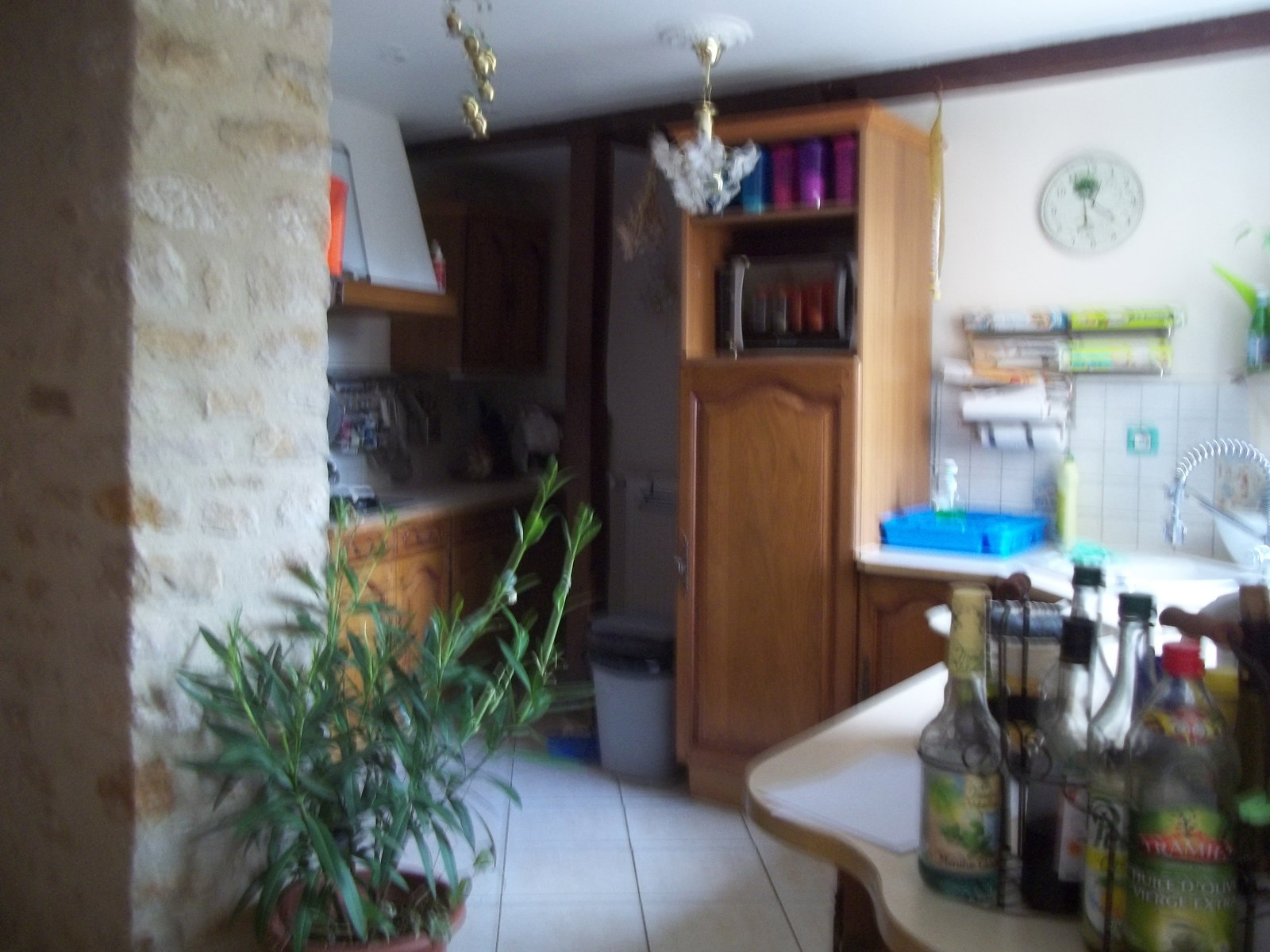 Famiglia Chaufour-Notre-Dame 221101