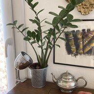 Famiglia Cannes 256851