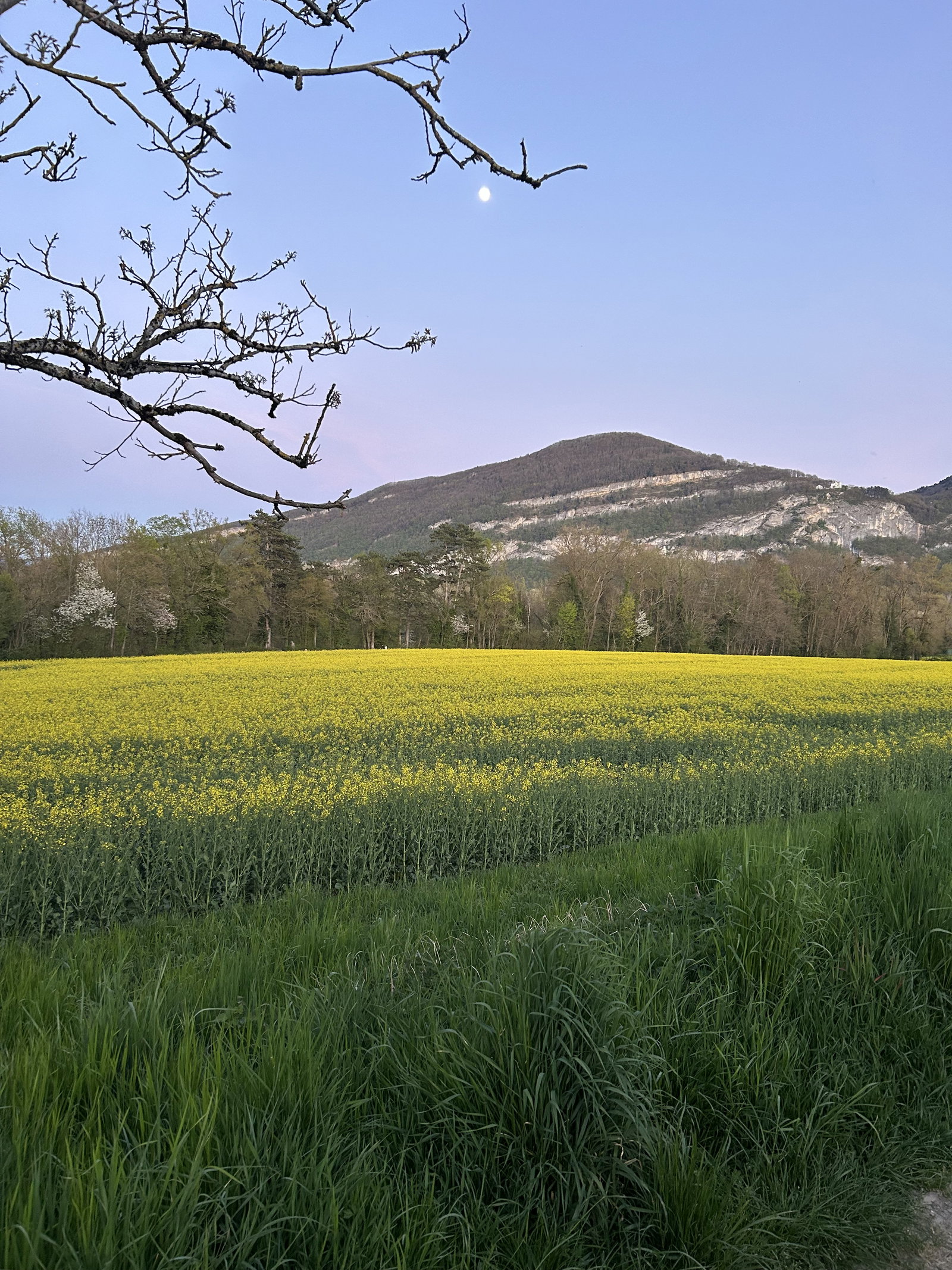 Camera Presso L'ospite Etrembières 394455